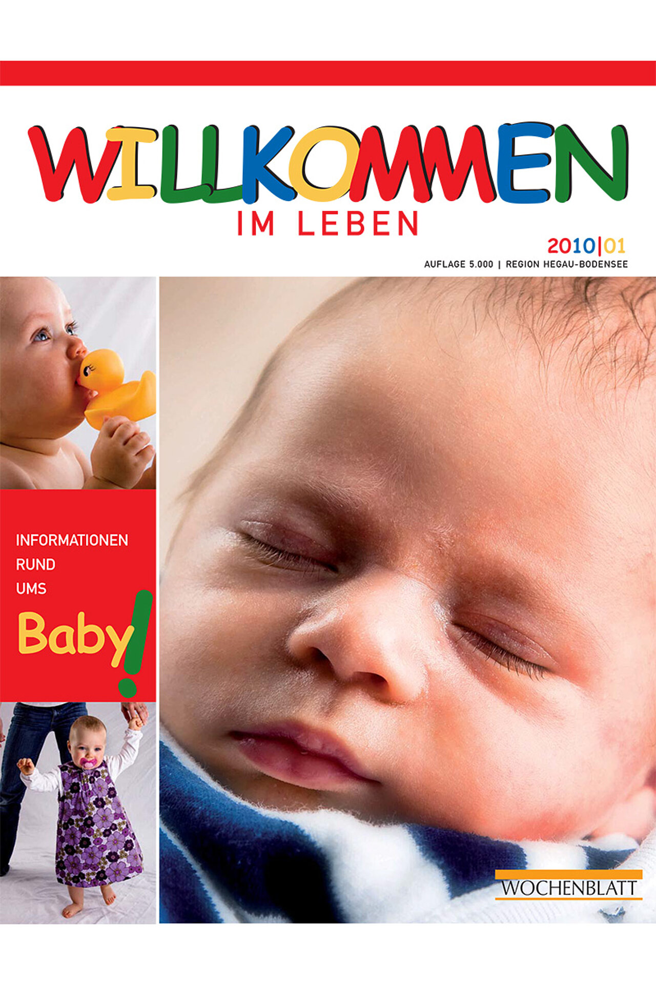 Ausgabe 2010 vom Januar