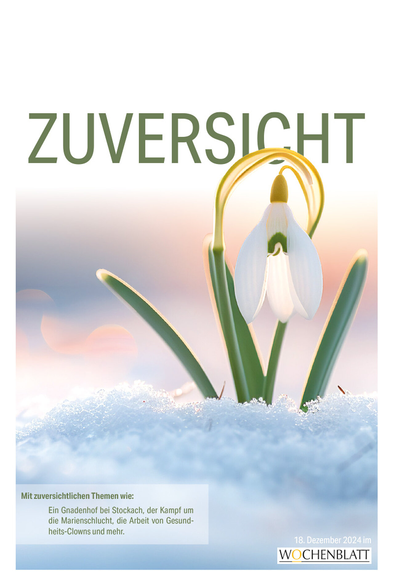 Sonderausgabe vom 18. Dezember 2024
