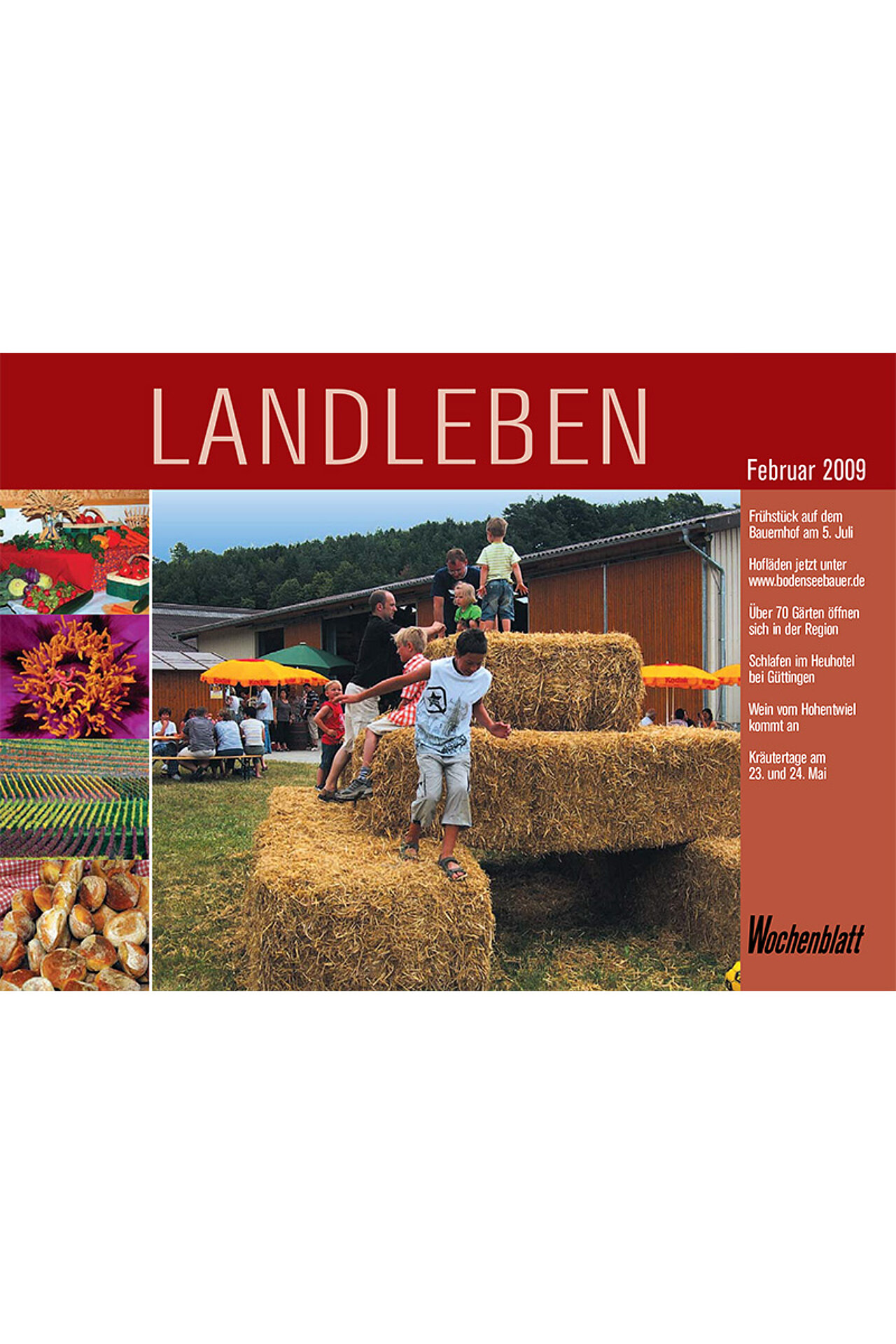 Ausgabe 2009/1 vom Februar